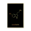 Poster moléculaire de sérotonine et dopamine – Image 6