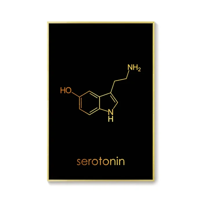 Poster moléculaire de sérotonine et dopamine