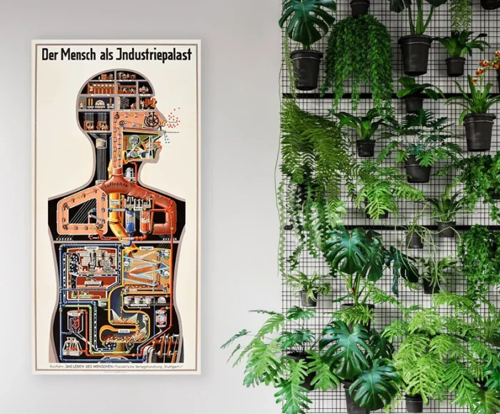 Poster scientifique Fritz Kahn