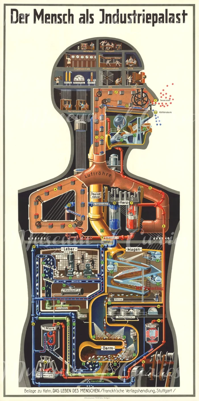 Poster scientifique Fritz Kahn