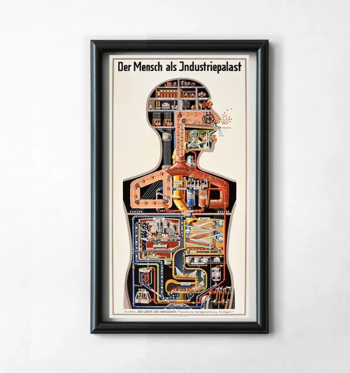 Poster scientifique Fritz Kahn