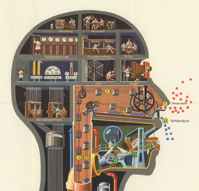 Poster scientifique Fritz Kahn