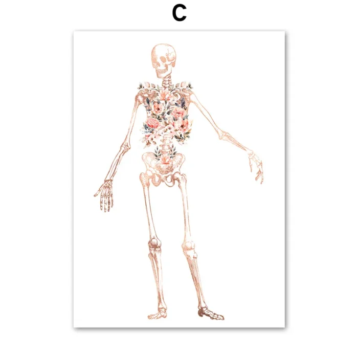 Poster vintage d'anatomie humaine