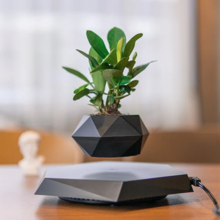 Vase de plante magnétique noir en lévitation