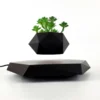 Vase de plante magnétique noir en lévitation